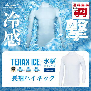 y10/10聚Im1/2ő100%PҌvGg[zStEFA ANZ A_[EFA TERAX-ICE×X nClbNA_[EFA AXUW25101 Y