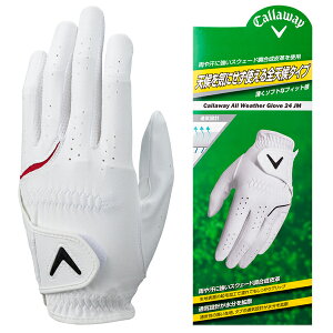 y11/1聚Im1/2ő100%PҌvGg[zLEFC 2024 I[EFU[ zCg×bh St 蒅p    lC