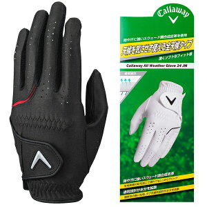 y10/31܂ŁقڑSi10%OFFN[|zLEFC 2024 I[EFU[ ubN St 蒅p    lC