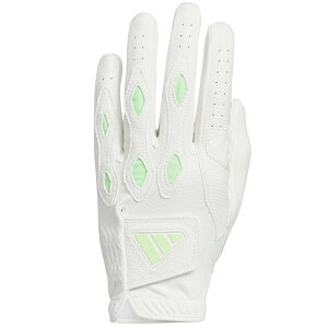 y11/30܂ŁقڑSi15%OFFN[|zAfB_X 2024 }`tBbg IKL21 IN6692 St 蒅p    lC