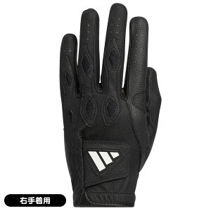 y11/30܂ŁقڑSi15%OFFN[|zAfB_X 2024 }`tBbg IKL21 IN6695 St E蒅p    lC