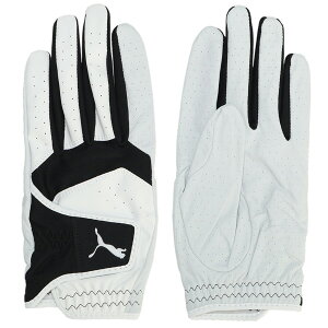 v[} 2024 t@gU[ 042016-01 St 蒅p    lC