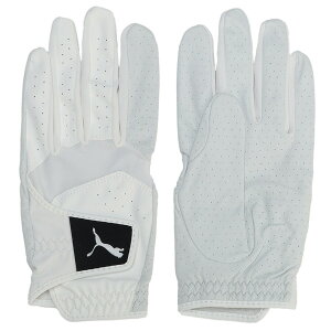 v[} 2024 t@gU[ 042016-02 St 蒅p    lC