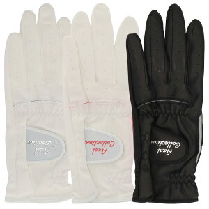 y11/1聚Im1/2ő100%PҌvGg[zfB[X ANZ 2024 AXLG-45 O St 蒅p p    lC