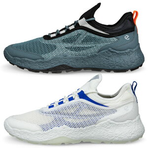 Y GR[ 2025 BIOM H5 LACE 138004 XpCNX StV[Y jp    lC