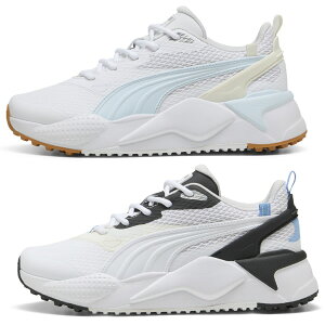 y10/31܂ŁقڑSi10%OFFN[|zfB[X v[} 2025 GS-X GtFNg 309771 XpCNX StV[Y p    lC