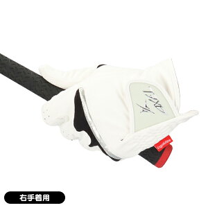 y11/1聚Im1/2ő100%PҌvGg[zY ANZ 2025 AXGL-25251ERGO(RH) St E蒅p jp    lC