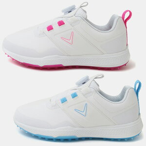 y10/31܂ŁقڑSi10%OFFN[|zfB[X LEFC 2025 VFulI C25986230 XpCNX StV[Y p    lC