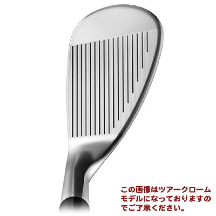 楽天市場】タイトリスト ボーケイ SM9 ブラッシュドスチール DG 