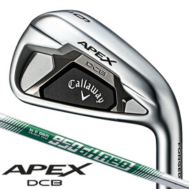 楽天市場 Apex アイアン Awの通販