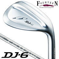 【★お得なクーポン配布中★※対象外あり】フォーティーン DJ6 N．S．PRO TS114W（Ver2）スチール ウェッジ