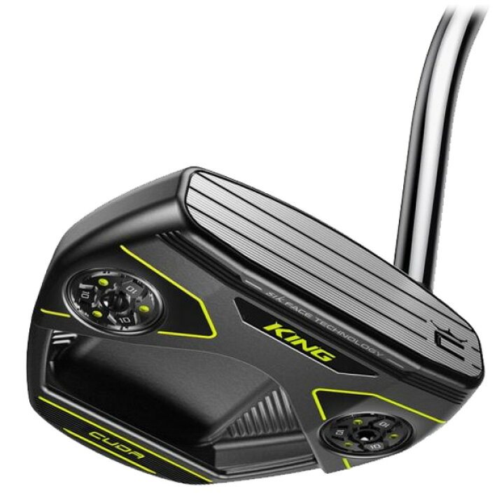 楽天市場】【☆1/1限定☆抽選最大100%P還元+ほぼ全品10%OFFクーポン