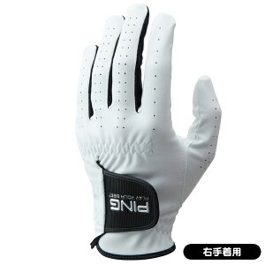 y10/31܂ŁقڑSi10%OFFN[|zs 2023 GL-P2302 St E蒅p    lC