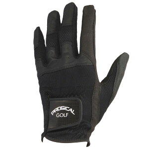 y12/31܂ŁSi|Cg3{(vGg[)zvWJ PGGL-2349M ubN St 蒅p    lC