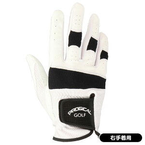 y12/31܂ŁSi|Cg3{(vGg[)zvWJ PGGL-2349M zCg St E蒅p    lC