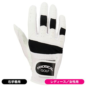 y11/1聚Im1/2ő100%PҌvGg[zfB[X vWJ PGLG-2349L zCg St E蒅p p    lC