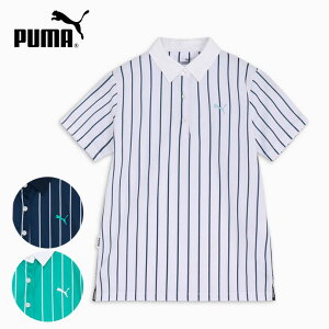 y11/1聚Im1/2ő100%PҌvGg[zyfB[X^pzv[} Xgb`JmRXgCvAOP|S/S 627711