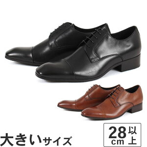 傫TCYy28cmzwhoop-de-doo t[vfBhD 5cmUP Y q[AbvhXV[Y 23230526