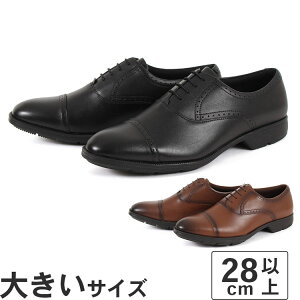 yl܂z傫TCYy28cmztexcy luxe eNV[NX Y rWlXV[Y Xg[g`bv TU7774