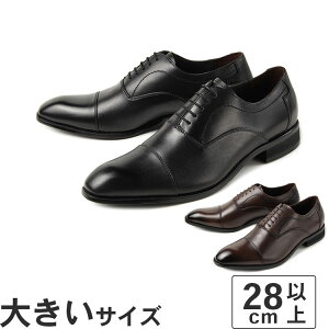 yOFF PRICEz傫TCYy28cm 29cm 30cmzVia Cammino by MADRAS BA J~[m oC }hX Y rWlXV[Y Xg[g`bv VC1505K