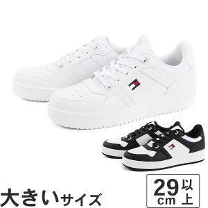 傫TCYy29cm 30cm 31cmzTOMMY HILFIGER g~[qtBK[ KRANE