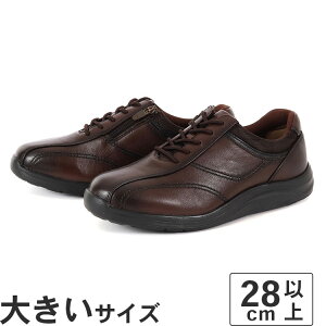 傫TCYy28cm 29cm 30cmzWorld March [h}[` Y hEH[LOV[Y WM3118 _[NuE