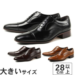 傫TCYy28cm`30cmzNEXT FOCUS lNXgtH[JX Y rWlXV[Y Xg[g`bv NF-3001