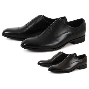 whoop-de-doo t[vfBhD 4.5cmUP Y q[Abv IbNXtH[hV[Y 23212525