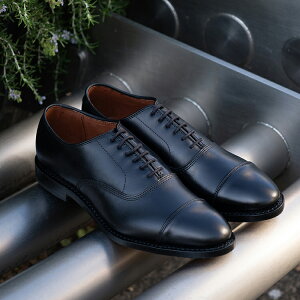 ALLEN EDMONDS AGhY PARK AVENUE p[NAxj[ 5615 D ubN