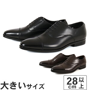 傫TCYy28cm 29cm 30cmzNEXT FOCUS lNXgtH[JX Y hrWlXV[Y Xg[g`bv NF-2010