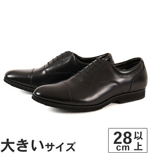 傫TCYy28cm 29cm 30cmzʋ N[g hXAbv  {v { J̓ NEXT FOCUS lNXgtH[JX Y hrWlXV[Y Xg[g`bv NF-2015 ubN