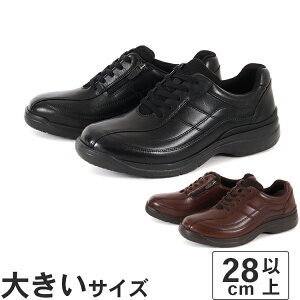 傫TCYy28cm 29cm 30cmzDr.ASSY hN^[AbV[ Y EH[LOV[Y DR8014L