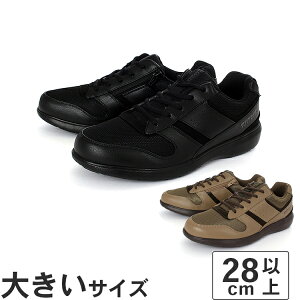 �y�労�ӍՁ�P10�{�z�傫���T�C�Y�y28cm�zDUNLOP �_�����b�v �_�����b�v���t�@�C���h C1004 DC1004