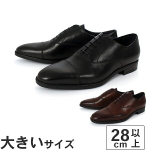 傫TCYy28cm 29cm 30cmzELASTICO GXeBR Y rWlXV[Y Xg[g`bv 5KS