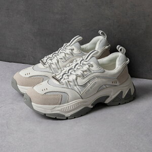 STEVE MADDEN XeB[u}f ANIMATES zCg/O[