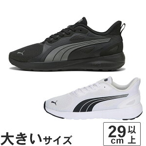 傫TCYy29cm 30cmzPUMA v[} \tgCh RX~bN ST C[YC 402632-01 402632-02