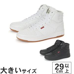 傫TCYy29cm 30cm 31cmzLevifs [oCX DRIVE HI 50013480 50013484