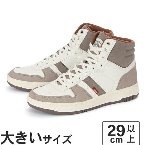 傫TCYy29cm 30cm 31cmzLevifs [oCX DRIVE HI 50014242 EB^[zCg