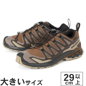 �傫���T�C�Y�y29cm 30cm�zSALOMON �T������ XA PRO 3D V9 GORE-TEX �G�b�N�X�G�[ �v�� 3D V9 �S�A�e�b�N�X L47881800 �_�[�N�A�[�X/�f�U�[�g�^��