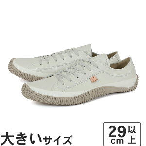 �傫���T�C�Y�y29.5cm�zSPINGLE �X�s���O�� SP-110 L �A�C�{���[