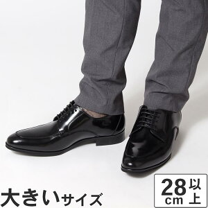 y}\ԁP10{z傫TCYy28cm 29cm 30cmzrWlXV[Y Y ʋ N[g hXAbv  {v { NEXT FOCUS NF-1011 U`bv