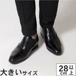 �傫���T�C�Y�y28cm 29cm 30cm�z�r�W�l�X�V���[�Y �����Y �ʋ� ���N���[�g �h���X�A�b�v �������� �{�v ���{�� NEXT FOCUS NF-1013 �X�g���[�g�`�b�v