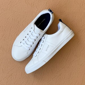 y}\ԁP10{zTOMMY HILFIGER(g~[qtBK[) LELITA zCg