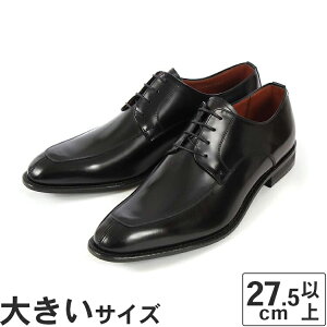 yKiz傫TCY y27.5cm 28cm 29cm 30cmzKenford(PtH[h) U`bv KB47 ABJEB ubN rbOTCY