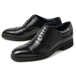 ySSԁGg[čőP15{zyKizKenford(PtH[h) Y rWlXV[Y Xg[g`bv KP02 AB ubN