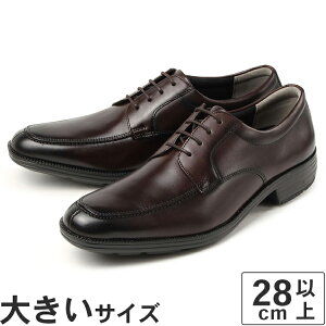 ySSԁGg[čőP15{z傫TCYy28cm 29cm 30cmzmoonstar BALANCE WORKSi[X^[ oX[NXj Y rWlXV[Y U`bv BW4603 _[NuE