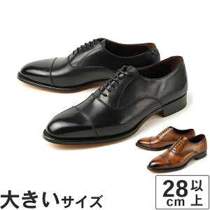 傫TCYy28cm 29cm 30cmzCERBEROi`Fxj Y rWlXV[Y Xg[g`bv RY5616