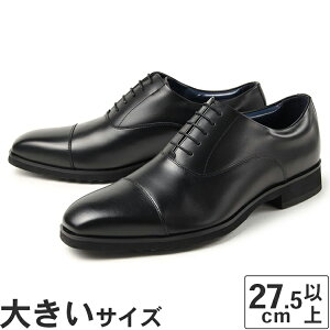 yKiz傫TCYy27.5cm 28cm 29cmzKenfordiPtH[hj Y rWlXV[Y Xg[g`bv KP02 ADEB ubN