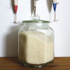 DULTON@KXLjX^[@OXNbL[W[@7Lis[icW[jy_g/GLASS COOKIE JAR/ʎ/Ăтz