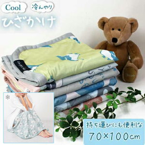 �y���������z�y���[����1���܂Łz �����u�����P�b�g�i�Ђ��|���j�@�ڐG�⊴�i70×100cm�j���^�C�����E�y���M���h�b�g�����y�ėp/����/�|���G�X�e���E�ȍ��a/�����΍�/��[���/�G�A�R��